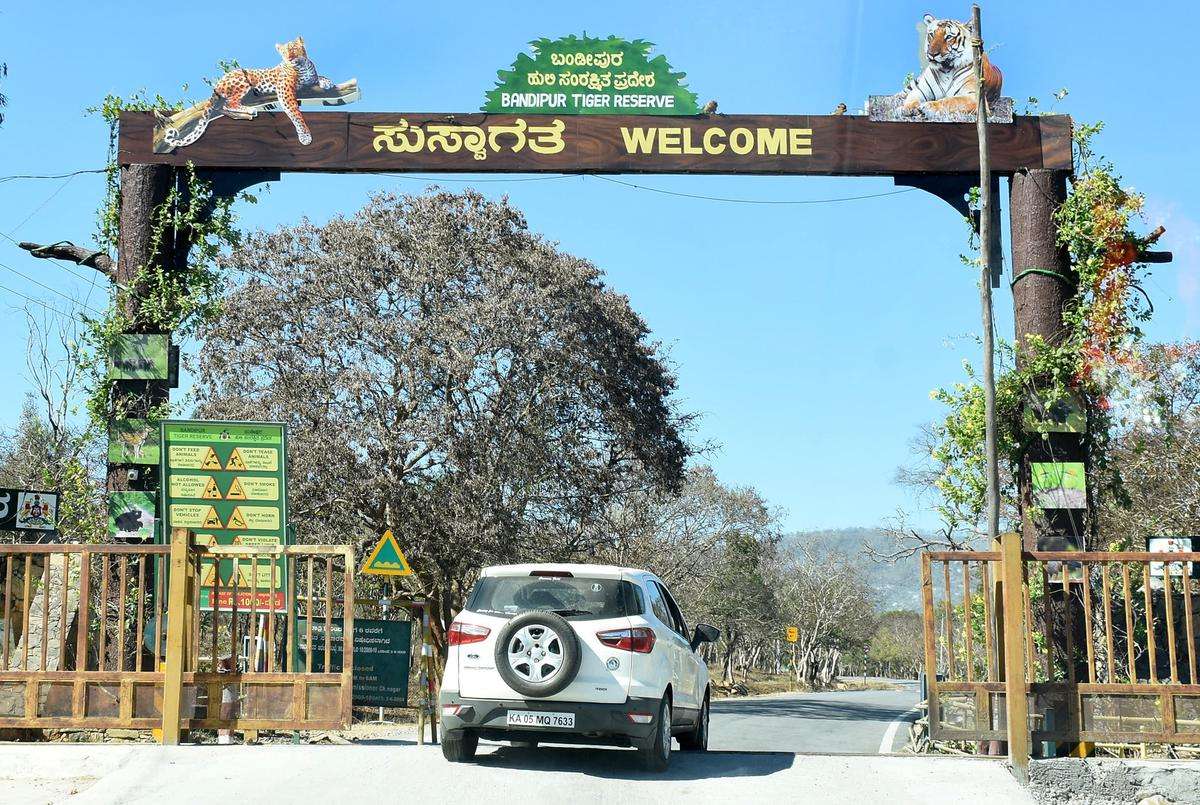 6702 1 4 2023 19 47 33 2 BANDIPURTIGERRESERVE2