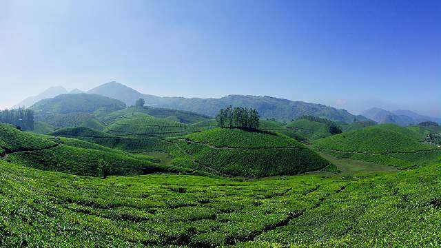 munnar20180720141650 202 1