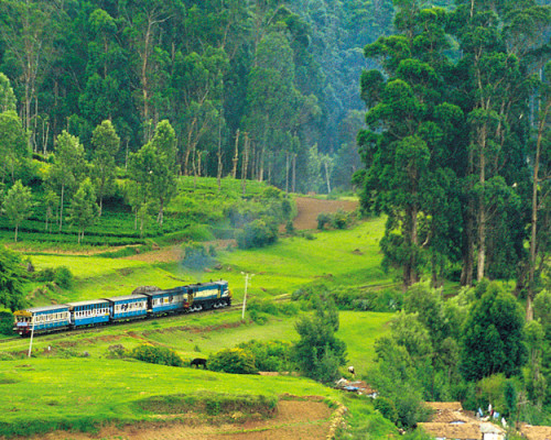 Tempo Traveller Bangalore To Ooty