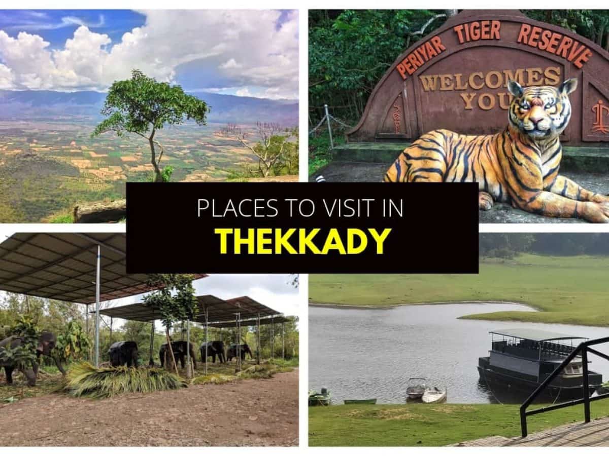 Places to Visit in Thekkady 1200x900 cropped